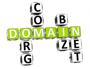 pre-owned domain names