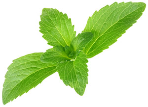 stevia